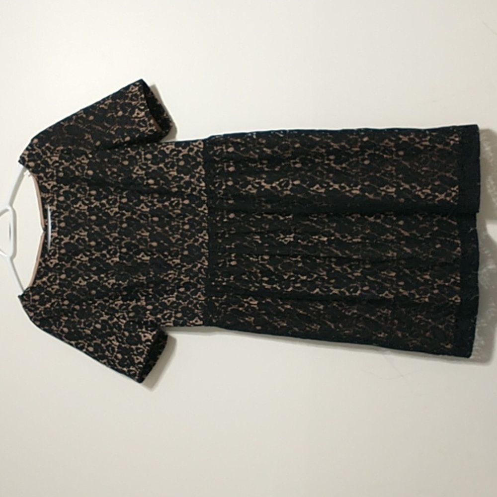 Adrianna papell dress